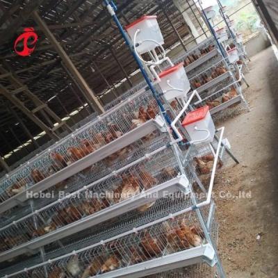 中国 Raising Hens Made Easy With Poultry Layer Cage In A Or H Type 450cm2 Ada 販売のため