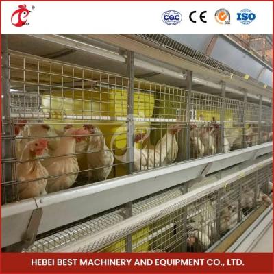 中国 H Shaped H Type Broiler Chicken Cage With Sliding Door 450cm2 Area/Bird Video Installation Included Ada 販売のため