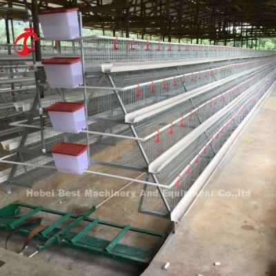 China User Friendly Poultry Layer Cage For Hassle Free Poultry Rearing Adela en venta