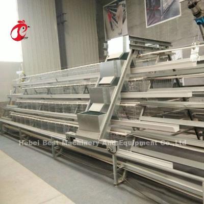 China Semi Automatic Poultry Layer Cage Feeding System 1.5KW 380V  Doris for sale