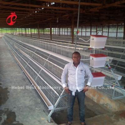 China Angle Bar Frame Poultry Battery Cage System H Type Layer Chicken Cage Africa Doris for sale