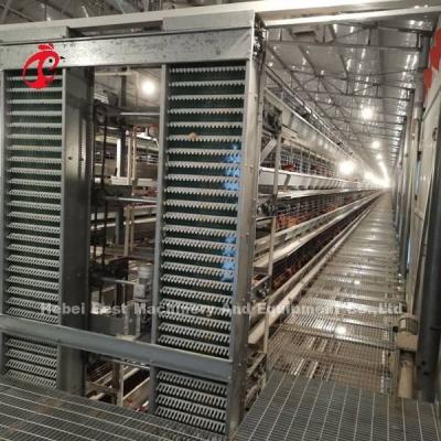 China Customized Automatic Egg Collection Feeding Hopper System For 30,000 Chicken Farm Doris for sale
