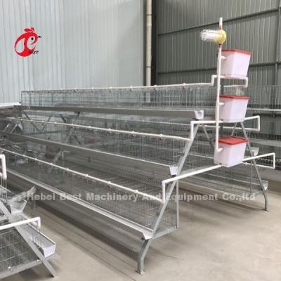China Cold Galvanized Poultry Battery Cage System 40 doors Egg Laying Chicken Cage Adela for sale