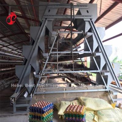 China A Frame Animal Poultry Farming Battery Cage System Stable Structure 2022 Hot Selling Emily for sale