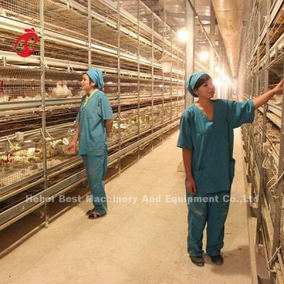 China Tipo gaiola ISO14001 Emily do projeto moderno H da exploração avícola da camada da bateria à venda
