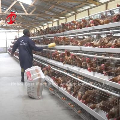 China China Imported Coated Chicken Battery Cage ISO9001 , Layer Chicken Cage System 4 Door Sandy for sale