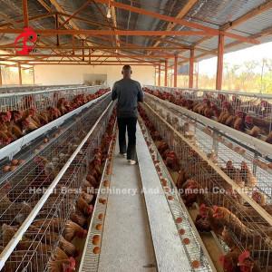 China Uganda 4 Tiers  Poultry Layer Cage For Sale Farm Chicken 100 KG Mia for sale