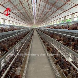 China Best Layer Poultry Farm Chicken Cage For Laying Hens 4 Tiers Mia for sale