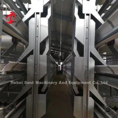 Chine Un type système galvanisé automatique de cage d'aviculture pour des couches au Nigéria Rose populaire à vendre
