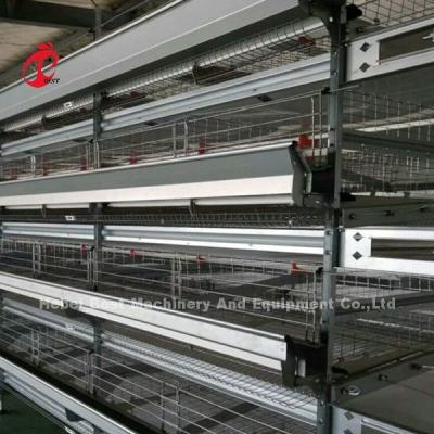 China Battery Automatic H Type Poultry Cage System Hot Sale 240Birds Rose for sale