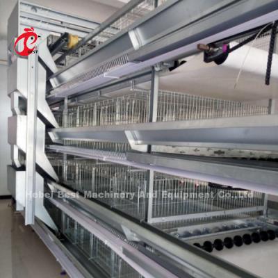 China H And A Type Automatic Poultry Layer Cage 15000 Birds Popular In Africa Rose for sale
