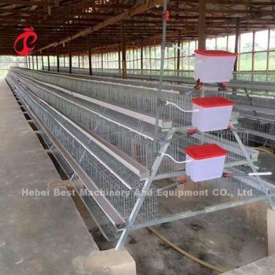 China Commercial Chicken Layer Battery Cage System 2.0m*2.0m*1.45m In Nigeria Star for sale