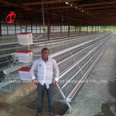 Chine Le prix de cage de batterie de couches au Nigéria 12 oiseaux du poulet 128 de semaines se tiennent le premier rôle à vendre