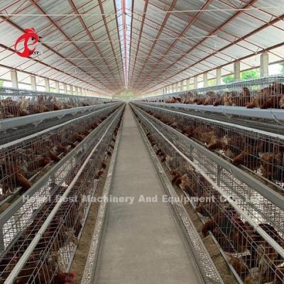 Chine Étoile automatique du Nigéria de cage de poulet à rôtir de batterie de qualité d'exportation de la Chine à vendre