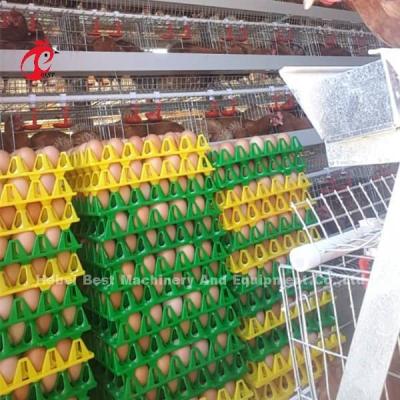 Cina Lo strato popolare dell'uovo di alta qualità di avicoltura della gabbia di strato del sistema automatico della gabbia ingabbia Rosa in vendita