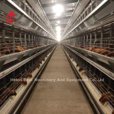 China Most Popular H Type Automatic Poultry Farming Cage System For Large Farm Adela for sale
