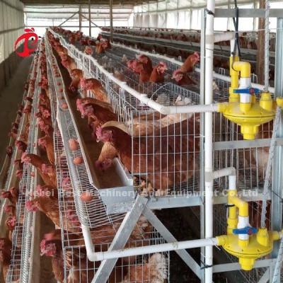 China 4 Tiers Hens Battery Cage Price In Nigeria , 5 Doors Chicken Layer Cage Rose for sale