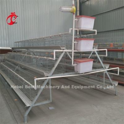 China High Stability Poultry Battery Cage System Layer Hens In Africa ISO9001 Emily for sale