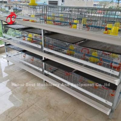 China Save Space Poultry Broiler Chicken Cage Low Carbon Steel Wire In Africa  Adela for sale