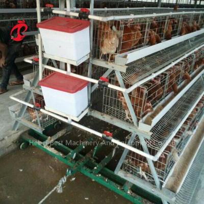 中国 3つのタイプをきれいにするおりシステム家禽の肥料のスクレーパーの肥料は絞る 販売のため