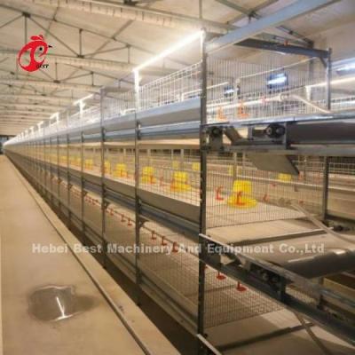 China H Type Broiler Chicken Cage CE , Full Automatic Broiler Cage Equipment Adela for sale