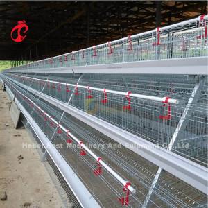 China 120 Chicken A Type Layer Battery Cage Of Poultry Equipment Mia for sale