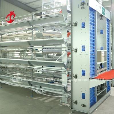 China Modifique un tamaño más grande Rose de la capa de la granja avícola de la batería para requisitos particulares estable de la jaula en venta