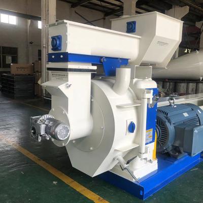 China 200kw 2 Rollers Flat Die Pellet Mill Manufacture for Wood Pellet Making for sale