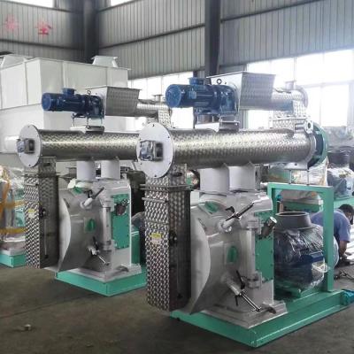 China 10t/h Chicken Animal Feed Pellet Mill SS Ring Die Animal Feed Pellet Machine for sale