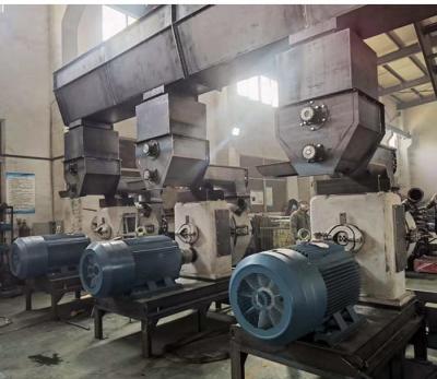 Chine Installation de transformation en bois de granule de 1TH de sciure de 4MM 5MM de granule machine de presse 1TH à vendre