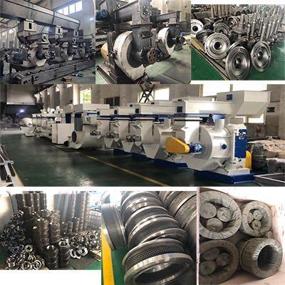 China 20CrMn 16kg Wood Animal Pellet Mill Pellet Press Roller Grinding Mill Spare Parts 420 508 for sale