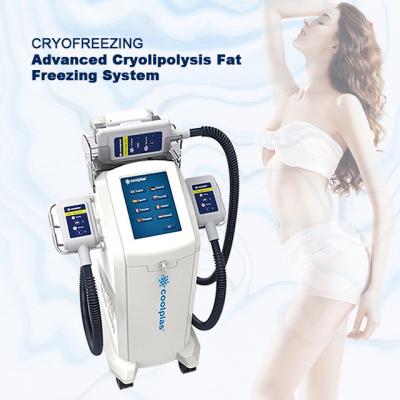 China Medical Cryolipolysis Vacuum Machine , Cryo Fat Freezing Machine for sale
