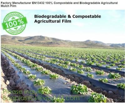 China Factory Manufacturer EN13432 100% Compostable and biodegradable Agricultural Mulch film, starch plant based wrap film pa for sale