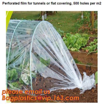 China plastic tomatoes home garden polytunnel greenhouse film,Film Covering Tomato Planting Greenhouse,agricultural TUV polyet for sale