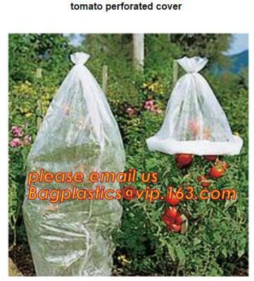 China Garden used tomato plastic film cover,high light transmittance solar control seeding nursery greenhouse covers,100% virg for sale