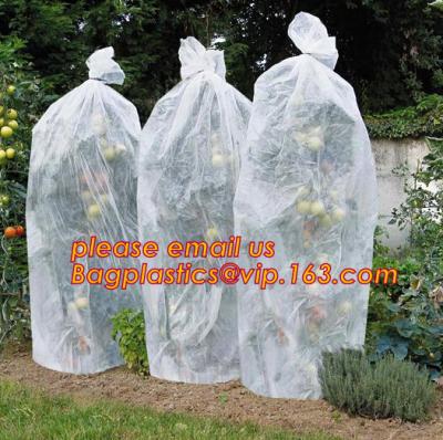 China PP Non Woven Fabric Fruit Tomato Banana Bunch Cover Garden Plant Protection Cover For Winter,Eco-friendly Household Non for sale