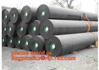 China 2mm HDPE reinforced polypropylene geomembrane for landfill,Geomembrane fish farming Pond Liner Hdpe Geomembrane BAGPLAST for sale
