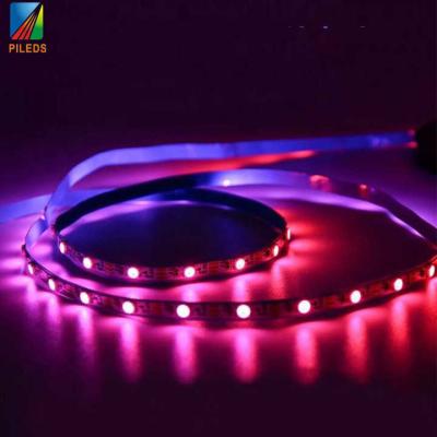China 5mm Sk6812 SMD LED Flexible Strips 5050 IP65 IP67 For Decoration for sale