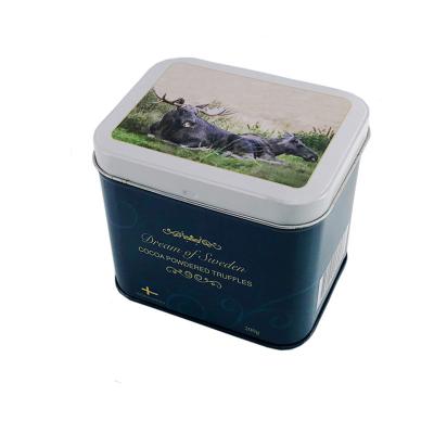 China Rustproof Rectangular Printed Tin Boxes With Hinged Lid Antiwear for sale