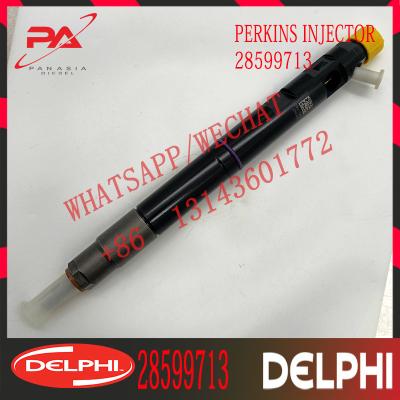 China 28599713 4D20M EJBR05102D DELPHI Diesel Injector en venta