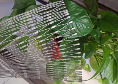 China Stainless Steel Rope Mesh Fencing ,  Security Bird Cage Mesh for sale