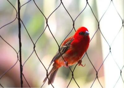 China Bird Aviary Wire Mesh , Macaw Parrot Aviary Rope Mesh Protective Cage Enclosure Balcony for sale
