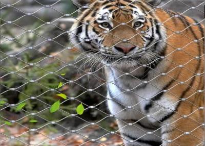 China Rejilla de cuerda de alambre SS Flexible de peso ligero de tigre a medida en venta