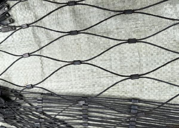 Quality 3.0mm Black Aviary Mesh Netting , Flexible Stainless Steel Cable Mesh Anti for sale