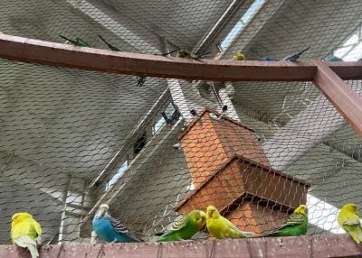 Cina 316 Acciaio inossidabile tessuto a filo ferrule rete di corda per uccelli zoo in vendita