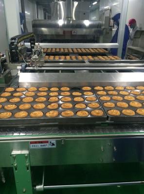 China Cadena de producción de la panadería del control 1000kg/H del PLC equipo para el bollo dulce en venta