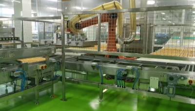 China Robot Depanner Continuous Hygiene Automatic Bread Production Line for sale