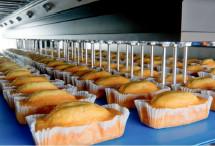 China Túnel Oven Automatic Cake Production Line da isolação do CE 300KG/H 25CM à venda