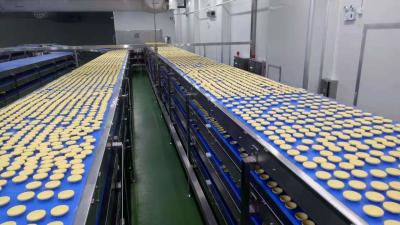 China Papercup Dispenser FDA Belt Conveyor Automatic Cake Production Line for sale