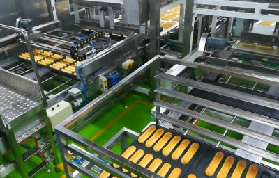 Κίνα Γραμμή παραγωγής ψωμιού μαγιάς CE προς πώληση
